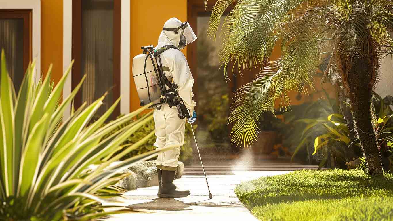 How to Keep Your Home Pest-Free This Monsoon Season