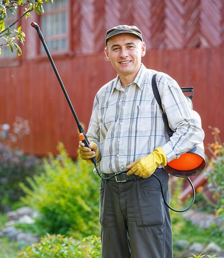 Team Member
